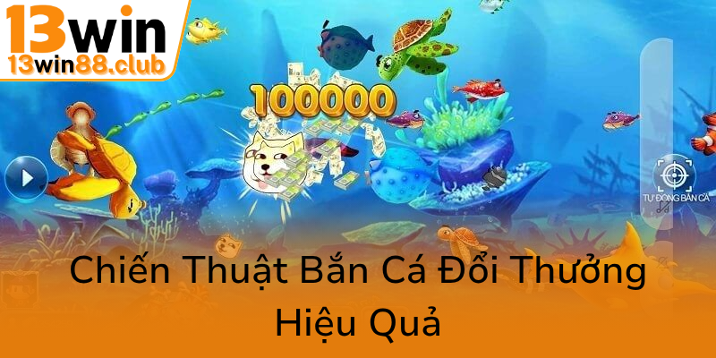 Khám Phá Thế Giới Bắn Cá Online Đầy Hấp Dẫn Với Hack bắn cá vui - 13WIN Đẳng Cấp 2 Chien Thuat Ban Ca Doi Thuong Hieu Qua0