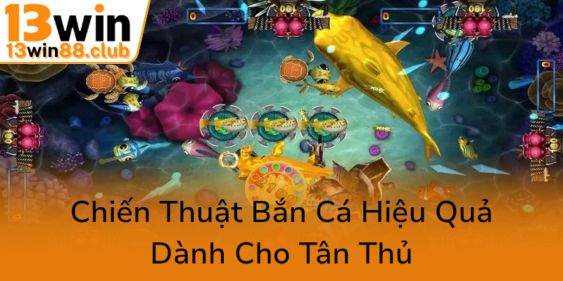 Trải Nghiệm Bắn Cá Nhân Ngư Apk - Khám Phá Thế Giới Game Đổi Thưởng 13WIN Hấp Dẫn 2 Chien Thuat Ban Ca Hieu Qua Danh Cho Tan Thu0