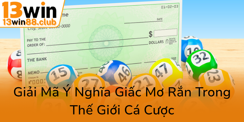Giai Ma Y Nghia Giac Mo Ran Trong The Gioi Ca Cuoc0