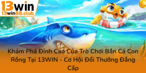 Kham Pha Dinh Cao Cua Tro Choi Ban Ca Con Rong Tai 13Win Co Hoi Doi Thuong Dang Cap0