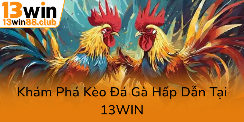 Đá Gà 13WIN - Dự Đoán Chính Xác Và Trải Nghiệm Đỉnh Cao Trong Cá Cược Trực Tuyến 2 Kham Pha Keo Da Ga Hap Dan Tai 13Win0