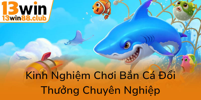 Khám Phá Thế Giới Bắn Cá Ocean - Trò Chơi Đổi Thưởng Đẳng Cấp Cùng 13WIN 2 Kinh Nghiem Choi Ban Ca Doi Thuong Chuyen Nghiep0