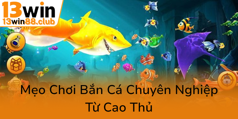 Khám Phá Thế Giới Bắn Cá Online Đầy Hấp Dẫn Với Hack bắn cá vui - 13WIN Đẳng Cấp 3 Meo Choi Ban Ca Chuyen Nghiep Tu Cao Thu0