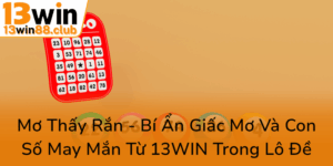 Mo Thay Ran Bi An Giac Mo Va Con So May Man Tu 13Win Trong Lo De0