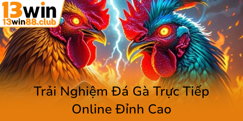 Đá Gà 13WIN - Dự Đoán Chính Xác Và Trải Nghiệm Đỉnh Cao Trong Cá Cược Trực Tuyến 3 Trai Nghiem Da Ga Truc Tiep Online Dinh Cao0